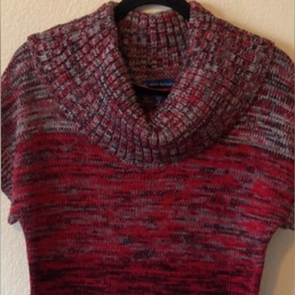 Karen Scott Cowl Neck Tunic